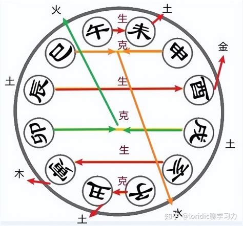 八字 六合|详解地支六合，地支六合的原因，地支合化条件